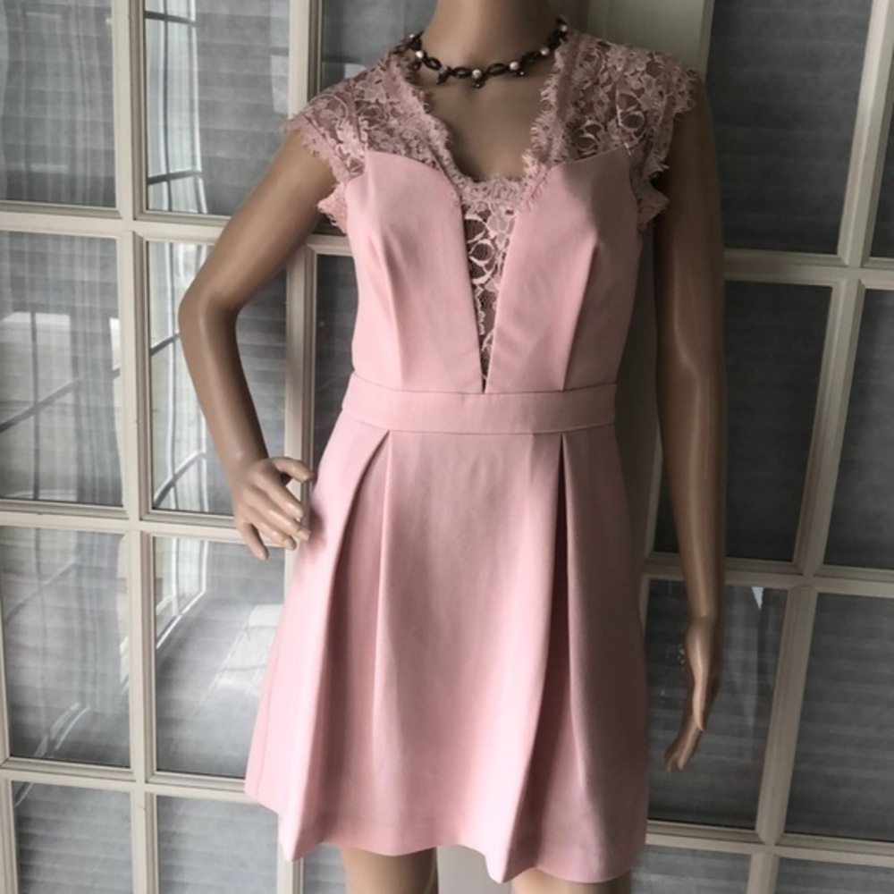 Rose smoke lace feminine flirty mini dress